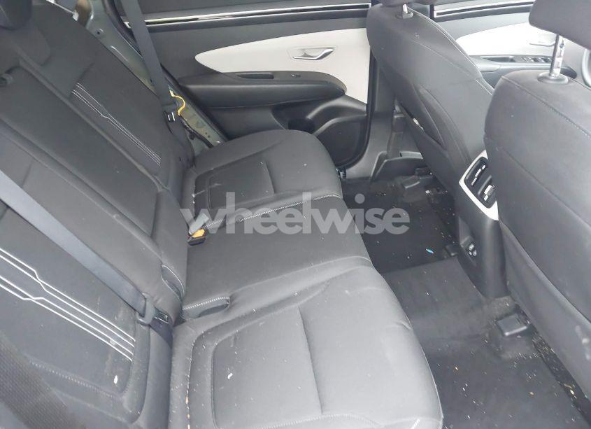 Photo 8 of 2024 Hyundai Tucson SEL (VIN 5NMJB3DEXRH337326)