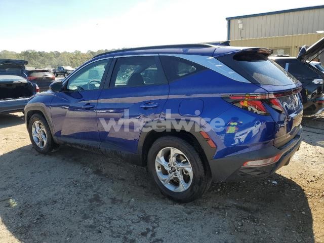 Photo 11 of 2024 HYUNDAI TUCSON SEL (VIN 5NMJB3DEXRH355406)