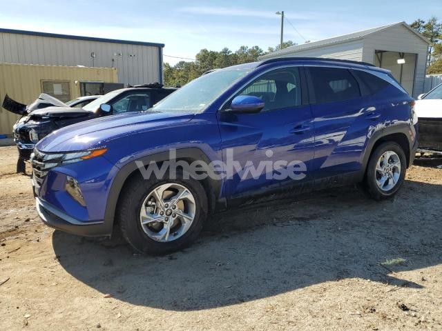 Photo 12 of 2024 HYUNDAI TUCSON SEL (VIN 5NMJB3DEXRH355406)