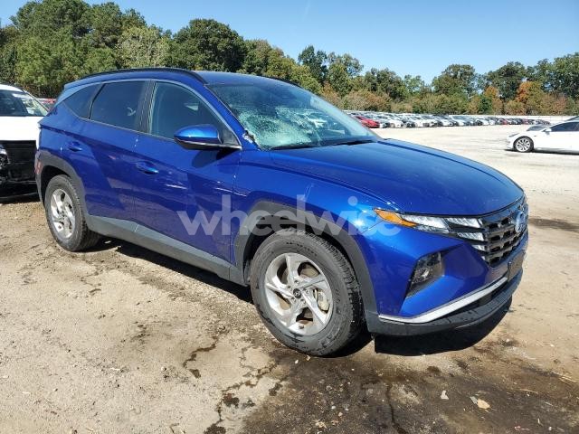 Photo 13 of 2024 HYUNDAI TUCSON SEL (VIN 5NMJB3DEXRH355406)