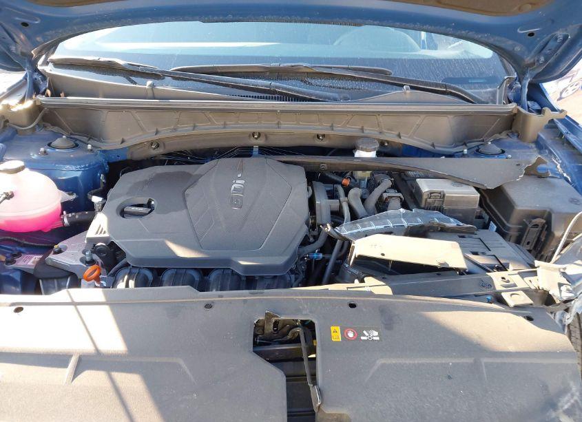 Photo 10 of 2024 Hyundai Tucson (VIN 5NMJB3DEXRH356023)