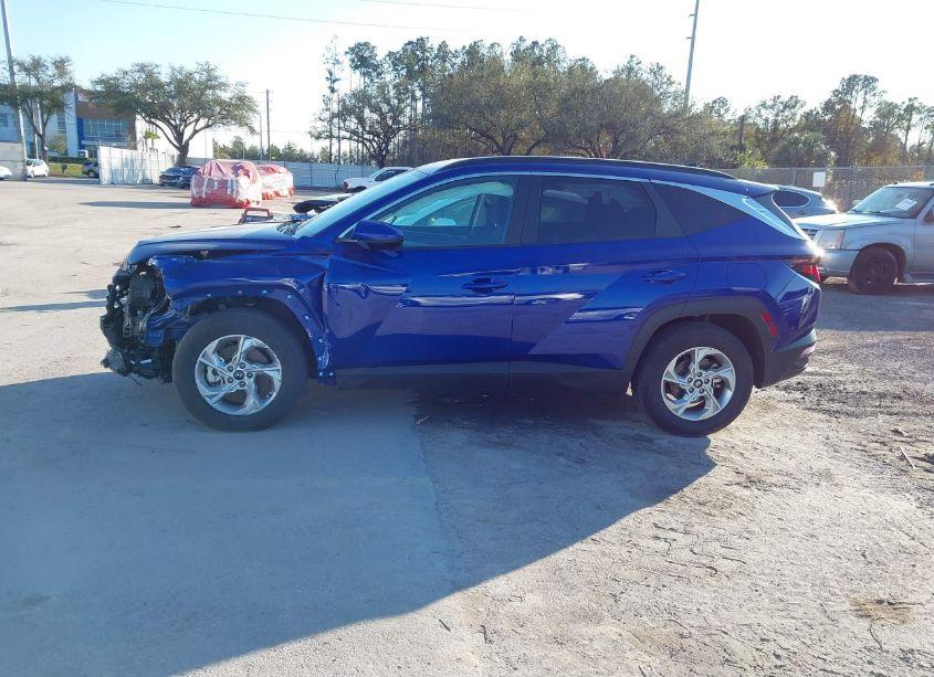 Photo 14 of 2024 Hyundai Tucson (VIN 5NMJB3DEXRH356023)