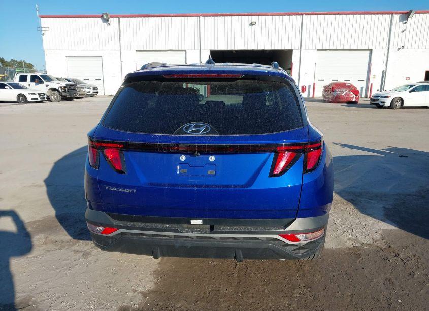 Photo 16 of 2024 Hyundai Tucson (VIN 5NMJB3DEXRH356023)