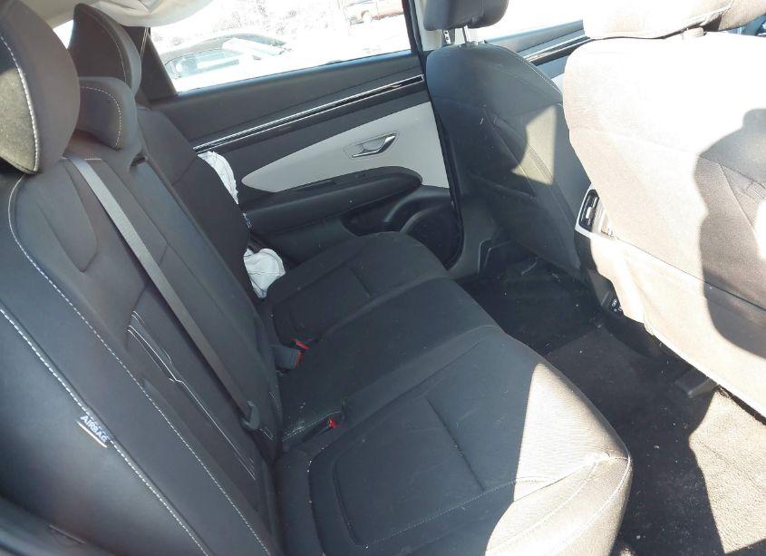 Photo 8 of 2024 Hyundai Tucson (VIN 5NMJB3DEXRH356023)