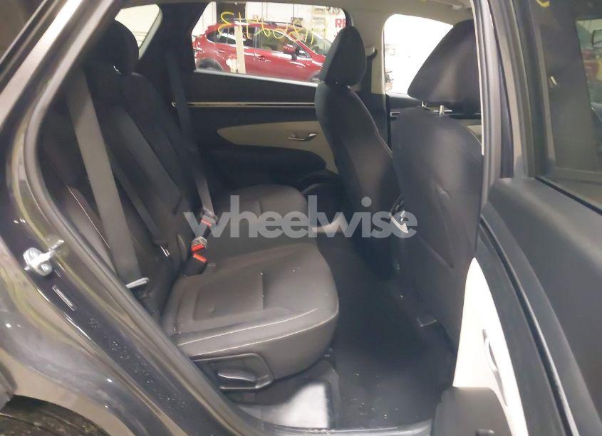 Photo 8 of 2024 Hyundai Tucson SEL (VIN 5NMJB3DEXRH356281)