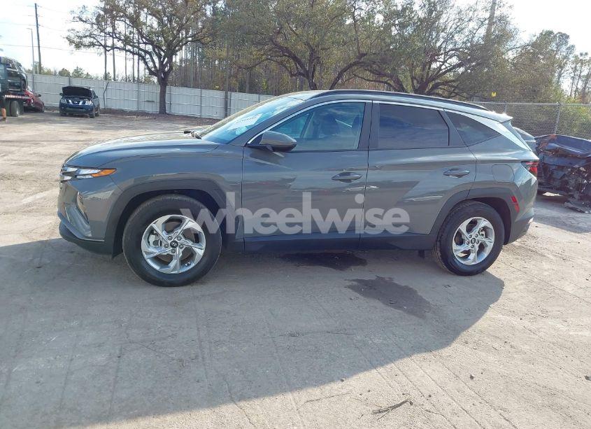 Photo 14 of 2024 Hyundai Tucson SEL (VIN 5NMJB3DEXRH387255)