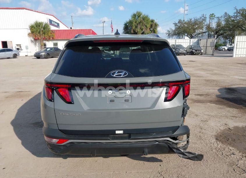 Photo 16 of 2024 Hyundai Tucson SEL (VIN 5NMJB3DEXRH387255)