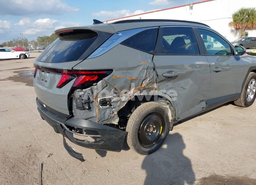 Photo 6 of 2024 Hyundai Tucson SEL (VIN 5NMJB3DEXRH387255)