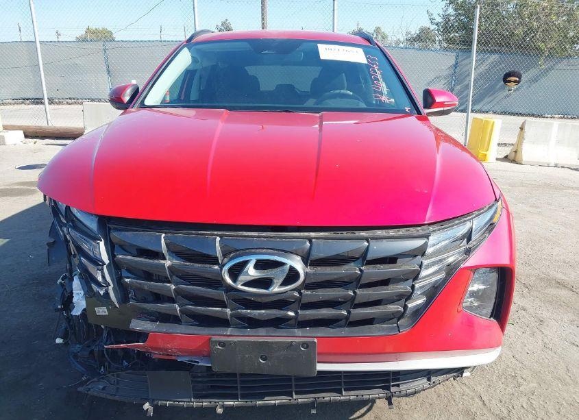 Photo 13 of 2023 Hyundai Tucson SEL (VIN 5NMJBCAE0PH227788)