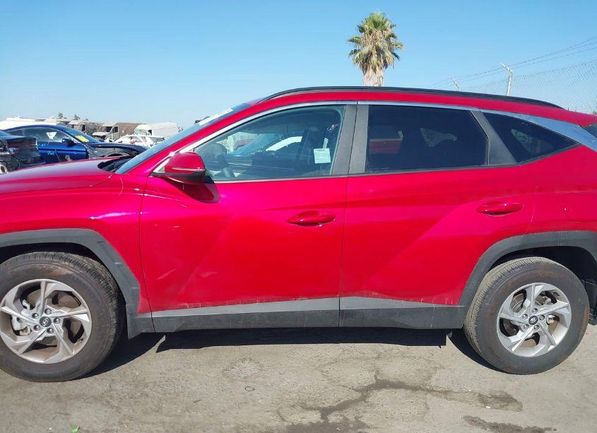 Photo 15 of 2023 Hyundai Tucson SEL (VIN 5NMJBCAE0PH227788)