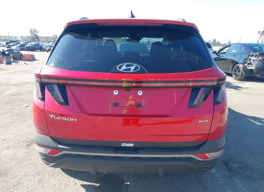 Photo 17 of 2023 Hyundai Tucson SEL (VIN 5NMJBCAE0PH227788)