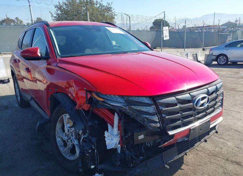 Photo 6 of 2023 Hyundai Tucson SEL (VIN 5NMJBCAE0PH227788)