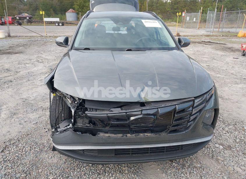 Photo 12 of 2023 Hyundai Tucson SEL (VIN 5NMJBCAE0PH238077)