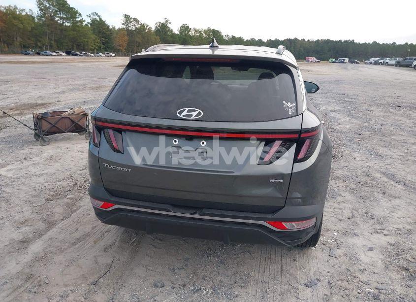 Photo 16 of 2023 Hyundai Tucson SEL (VIN 5NMJBCAE0PH238077)