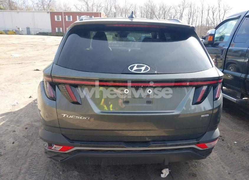 Photo 16 of 2023 Hyundai Tucson SEL (VIN 5NMJBCAE0PH264808)