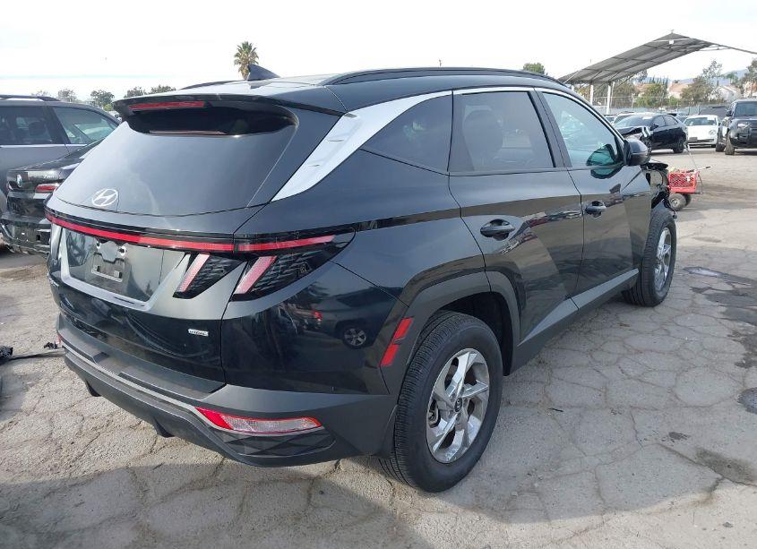 Photo 4 of 2023 Hyundai Tucson SEL (VIN 5NMJBCAE0PH281432)
