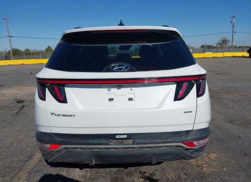 Photo 17 of 2022 Hyundai Tucson SEL (VIN 5NMJBCAE1NH128913)