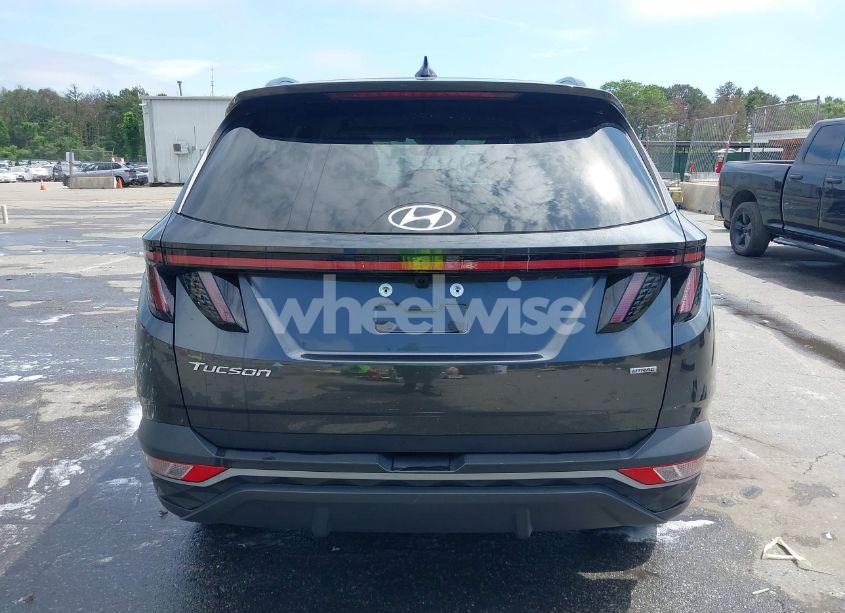 Photo 17 of 2023 Hyundai Tucson SEL (VIN 5NMJBCAE1PH212815)