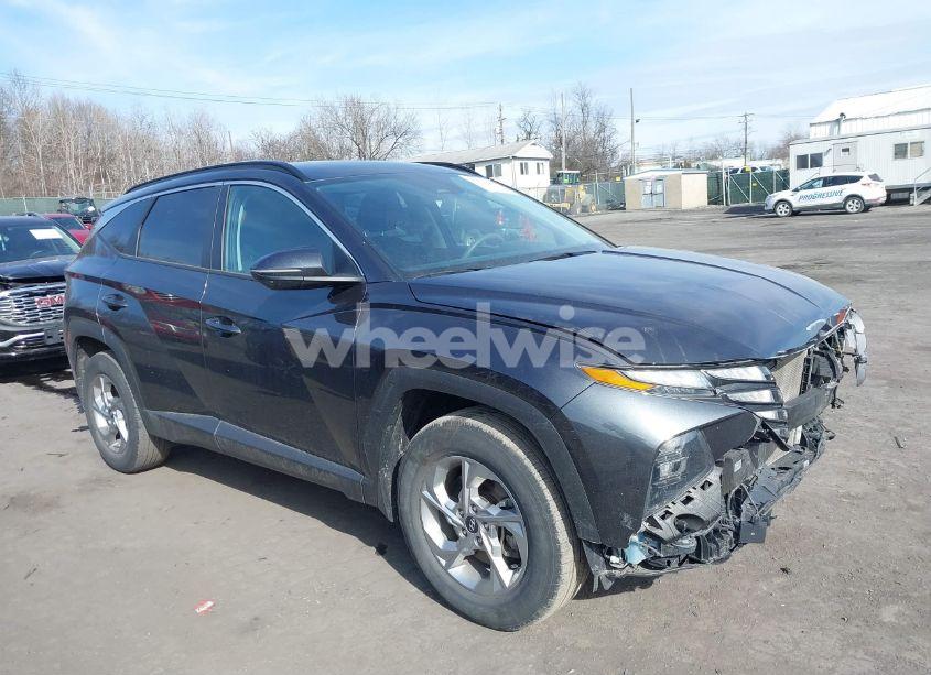2023 Hyundai Tucson SEL (VIN 5NMJBCAE2PH186175) main photo