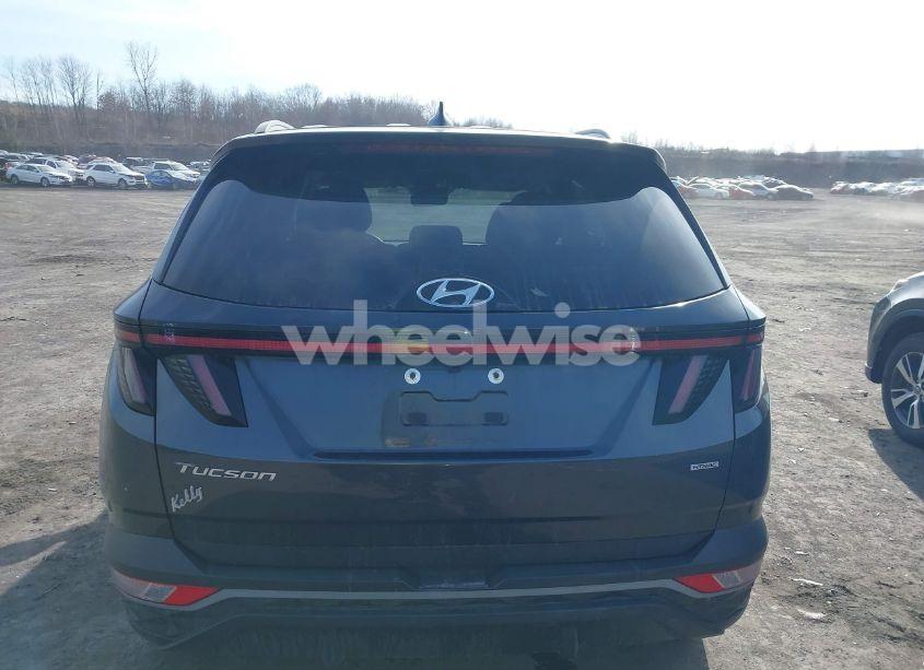 Photo 16 of 2023 Hyundai Tucson SEL (VIN 5NMJBCAE2PH186175)