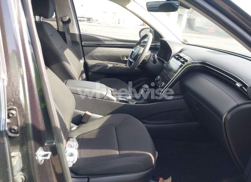Photo 5 of 2023 Hyundai Tucson SEL (VIN 5NMJBCAE2PH186175)