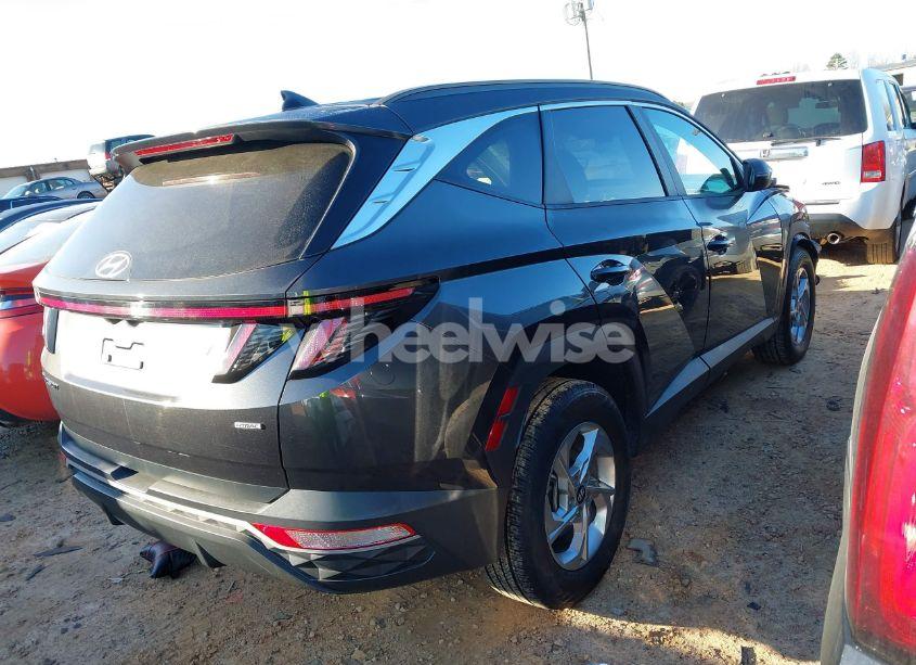 Photo 4 of 2023 Hyundai Tucson SEL (VIN 5NMJBCAE2PH196642)