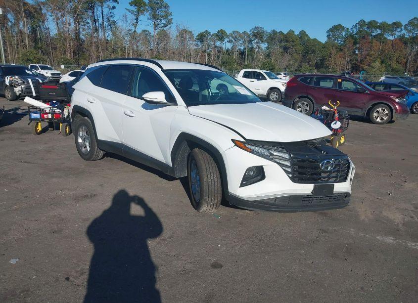 2023 Hyundai Tucson SEL (VIN 5NMJBCAE2PH217604) main photo