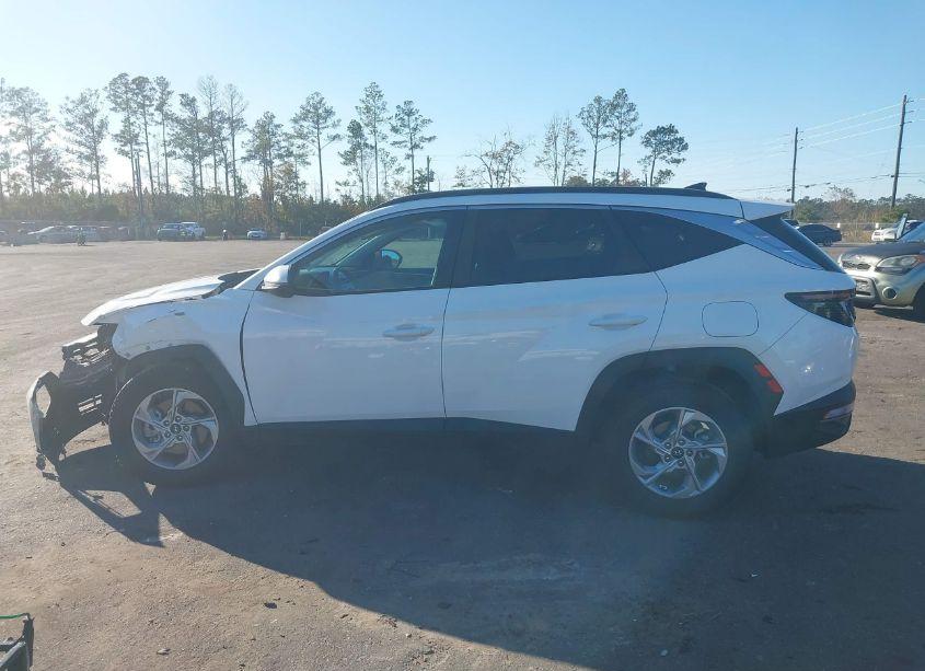 Photo 15 of 2023 Hyundai Tucson SEL (VIN 5NMJBCAE2PH217604)