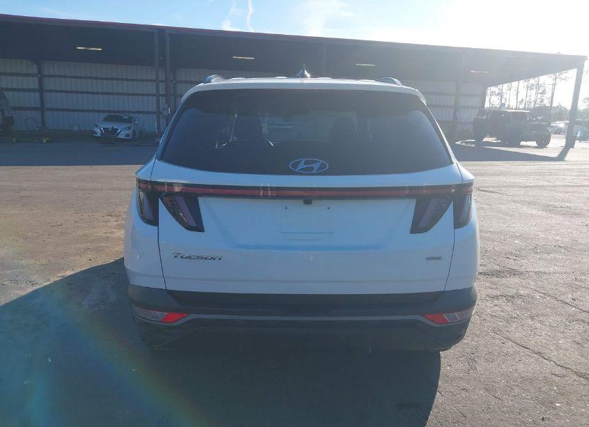 Photo 17 of 2023 Hyundai Tucson SEL (VIN 5NMJBCAE2PH217604)