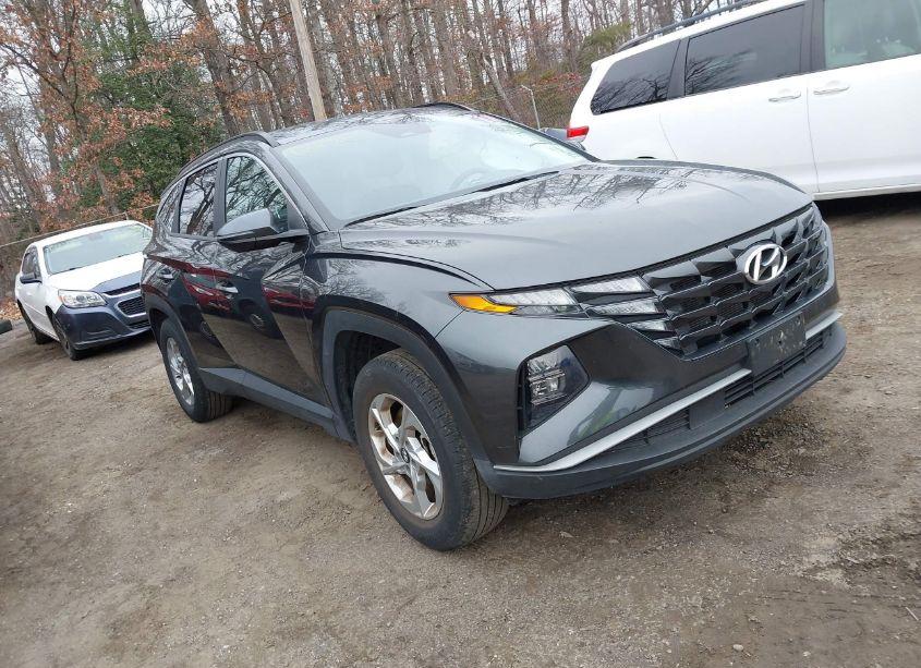 2023 Hyundai Tucson SEL (VIN 5NMJBCAE2PH218087) main photo