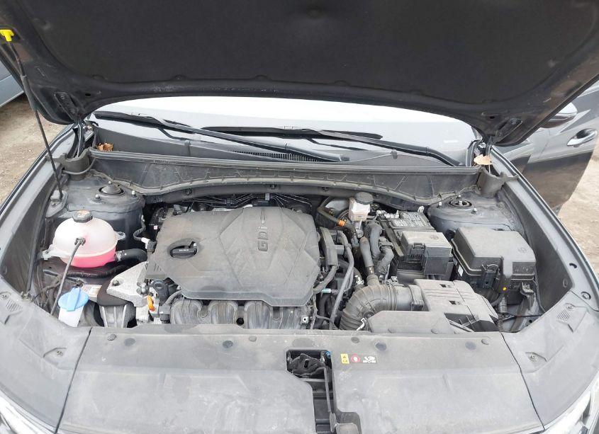 Photo 10 of 2023 Hyundai Tucson SEL (VIN 5NMJBCAE2PH218087)