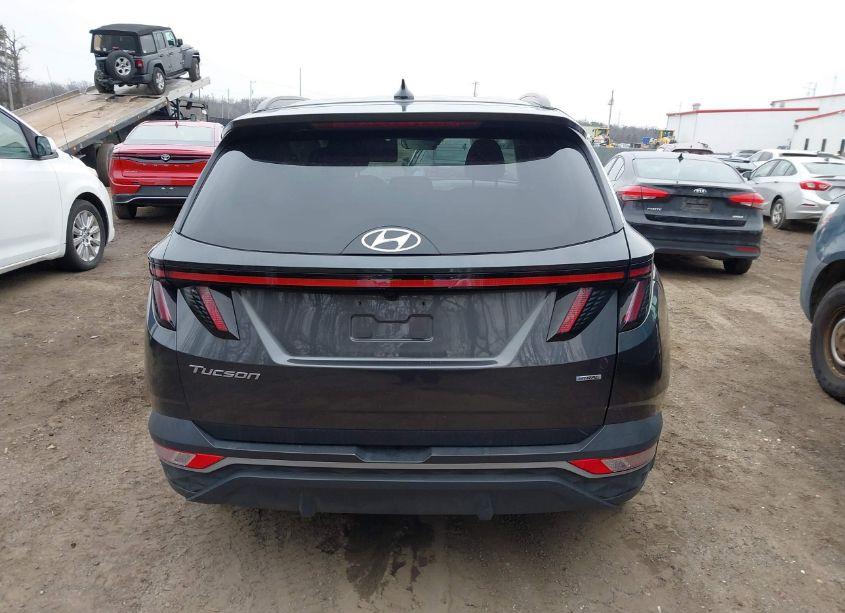 Photo 16 of 2023 Hyundai Tucson SEL (VIN 5NMJBCAE2PH218087)