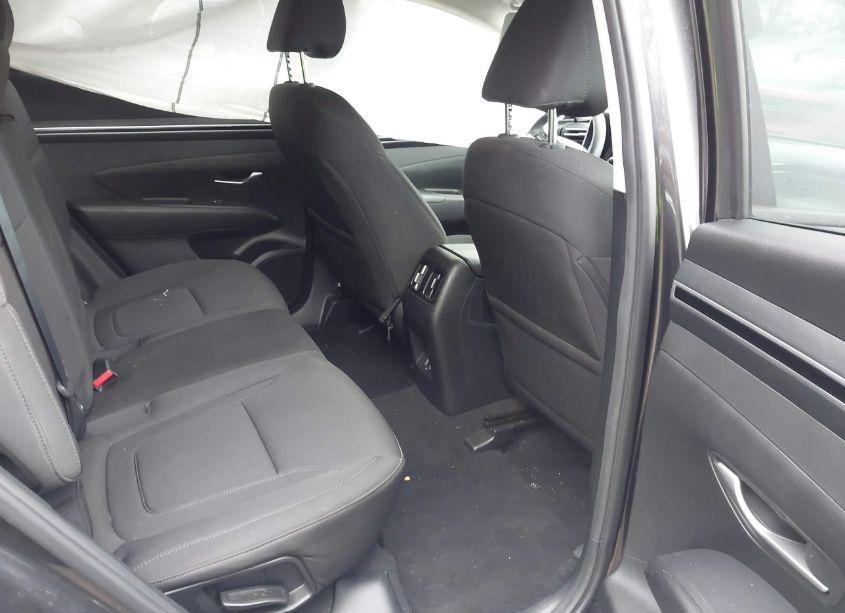 Photo 8 of 2023 Hyundai Tucson SEL (VIN 5NMJBCAE2PH218087)
