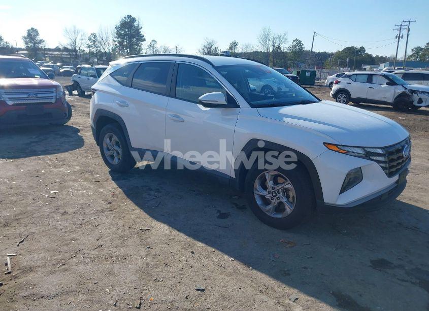 2023 Hyundai Tucson SEL (VIN 5NMJBCAE2PH222446) main photo