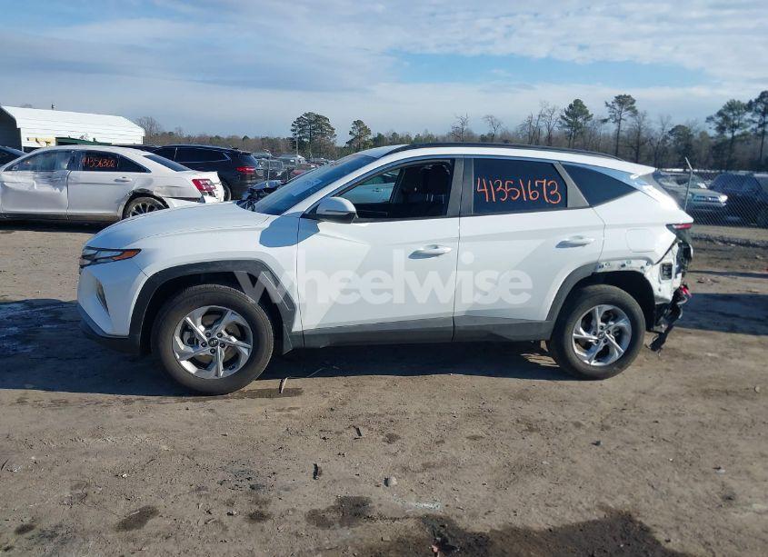 Photo 14 of 2023 Hyundai Tucson SEL (VIN 5NMJBCAE2PH222446)
