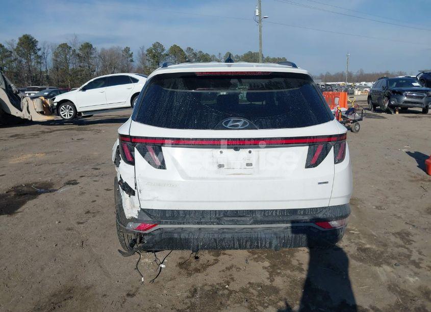 Photo 16 of 2023 Hyundai Tucson SEL (VIN 5NMJBCAE2PH222446)