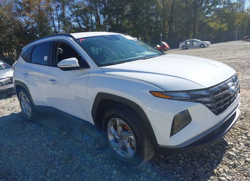 2023 Hyundai Tucson SEL (VIN 5NMJBCAE2PH237707) main photo