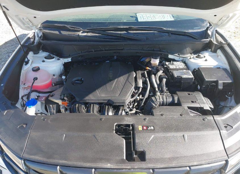 Photo 10 of 2023 Hyundai Tucson SEL (VIN 5NMJBCAE2PH237707)