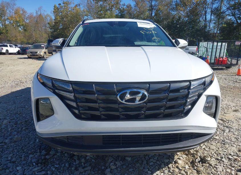 Photo 11 of 2023 Hyundai Tucson SEL (VIN 5NMJBCAE2PH237707)