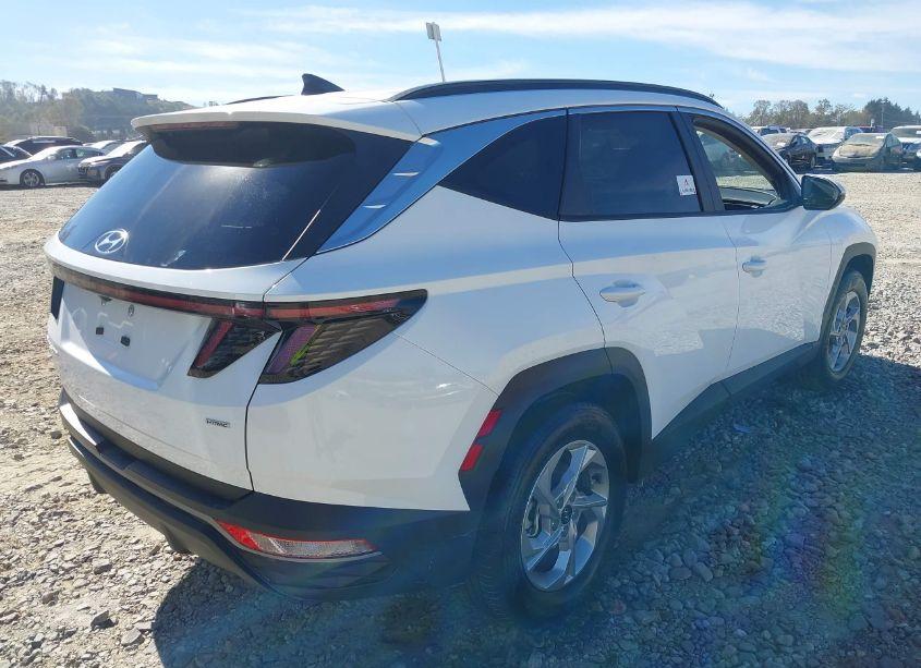 Photo 4 of 2023 Hyundai Tucson SEL (VIN 5NMJBCAE2PH237707)