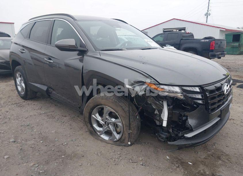 2023 Hyundai Tucson SEL (VIN 5NMJBCAE2PH245256) main photo