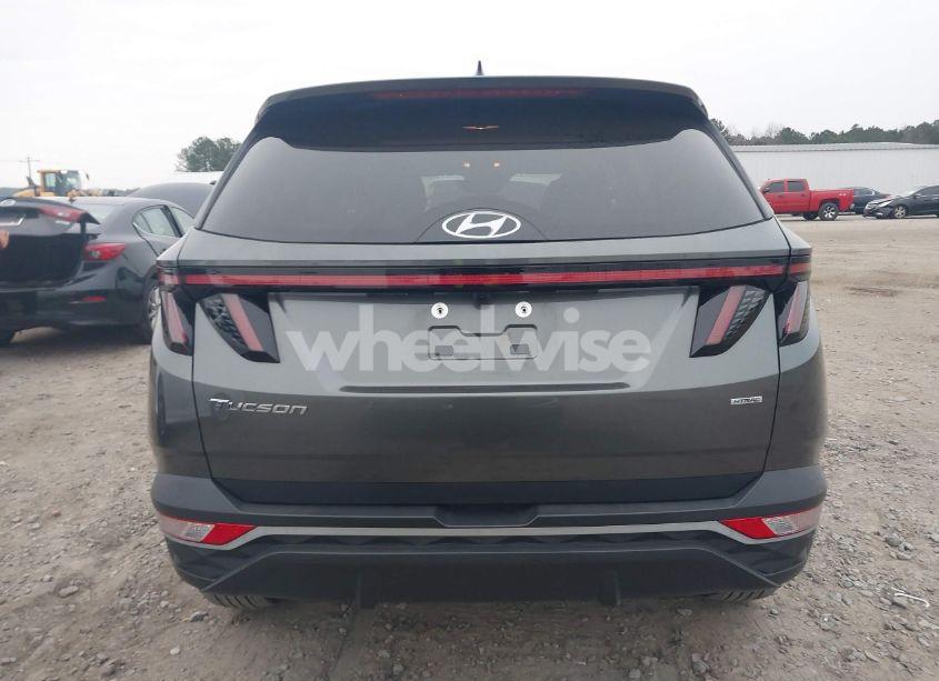 Photo 16 of 2023 Hyundai Tucson SEL (VIN 5NMJBCAE2PH245256)