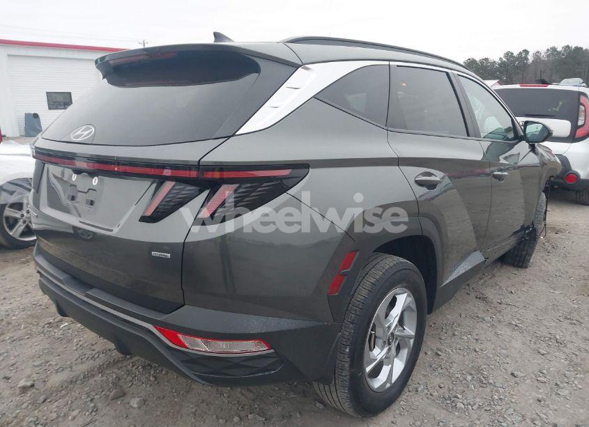 Photo 4 of 2023 Hyundai Tucson SEL (VIN 5NMJBCAE2PH245256)