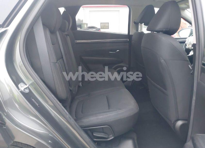 Photo 8 of 2023 Hyundai Tucson SEL (VIN 5NMJBCAE2PH245256)