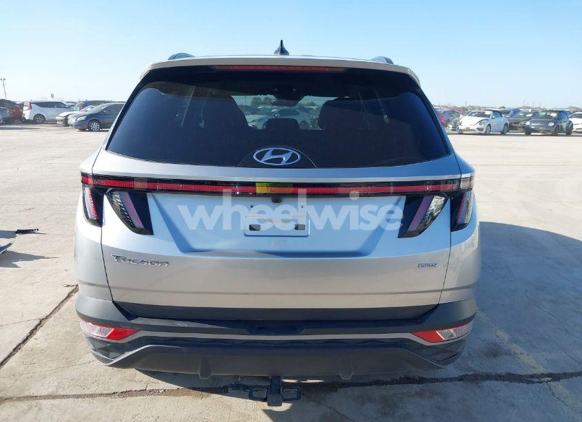 Photo 17 of 2023 Hyundai Tucson SEL (VIN 5NMJBCAE2PH266771)