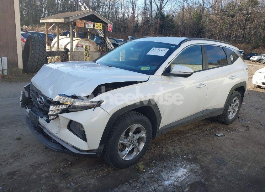 Photo 2 of 2022 Hyundai Tucson SEL (VIN 5NMJBCAE3NH114656)
