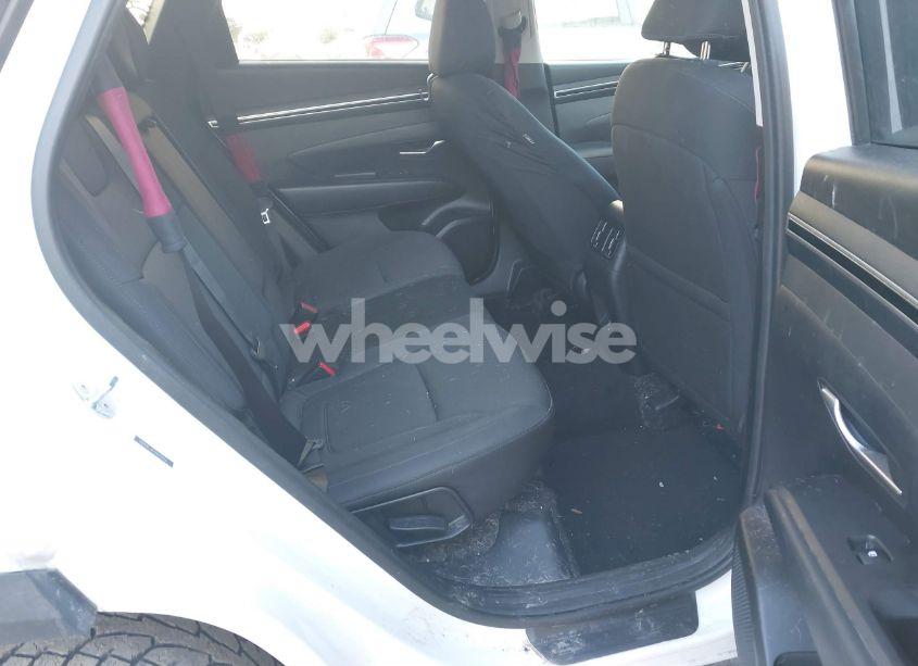 Photo 8 of 2022 Hyundai Tucson SEL (VIN 5NMJBCAE3NH114656)