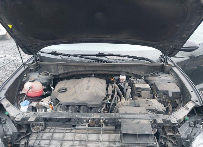 Photo 10 of 2023 Hyundai Tucson SEL (VIN 5NMJBCAE3PH174438)