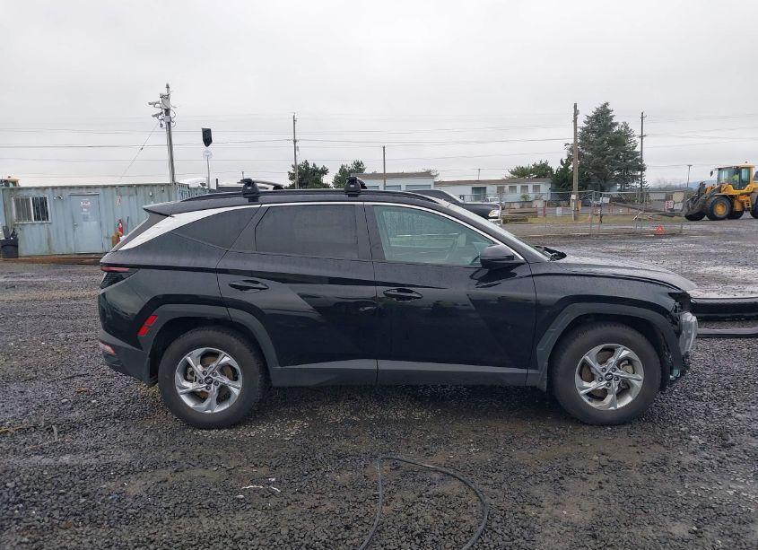 Photo 14 of 2023 Hyundai Tucson SEL (VIN 5NMJBCAE3PH174438)