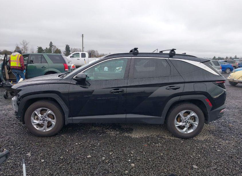 Photo 15 of 2023 Hyundai Tucson SEL (VIN 5NMJBCAE3PH174438)